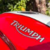 Triumph31