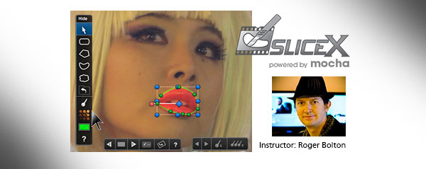 slicex webinar oct 2013