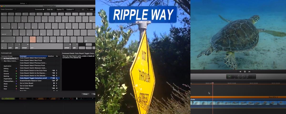 ripple tutorial updte sept 18