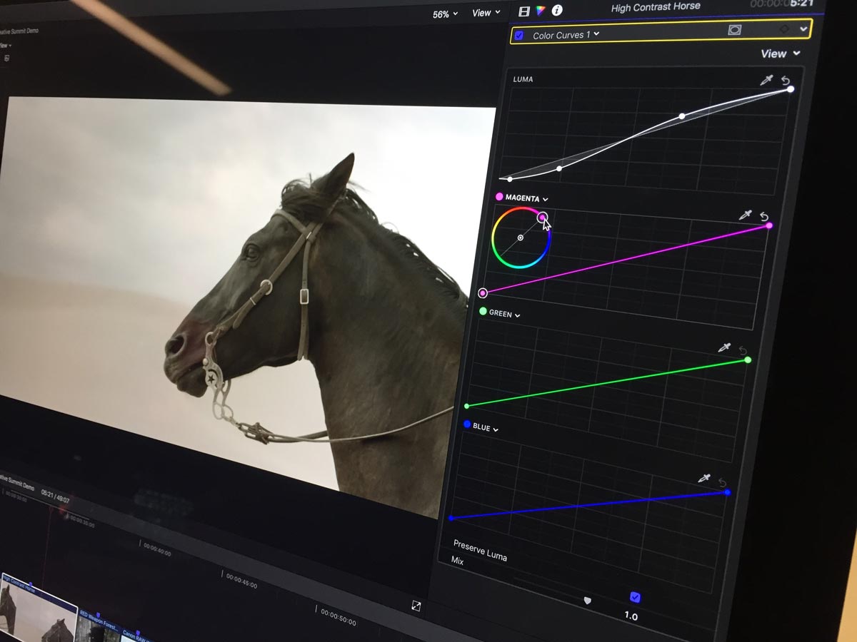 10 4 fcpx fcpco 04