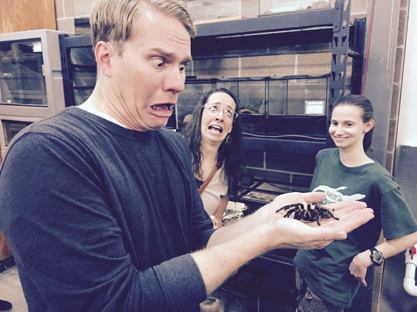dylanspider