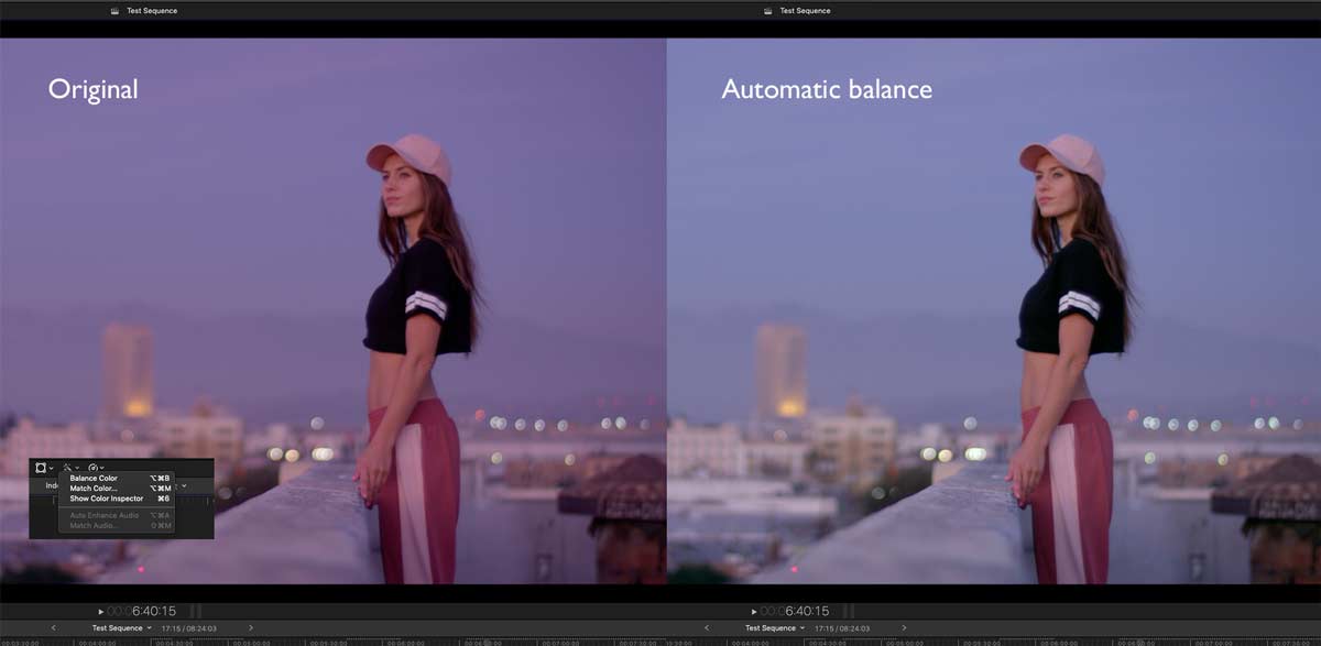 FCP2020013 colortips balance
