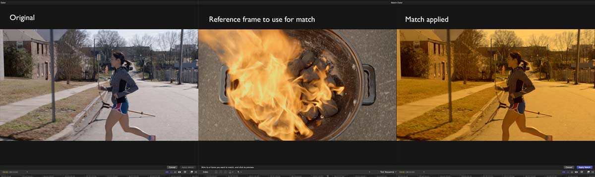 FCP2020013 colortips colormatch1