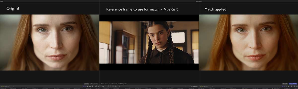FCP2020013 colortips colormatch2