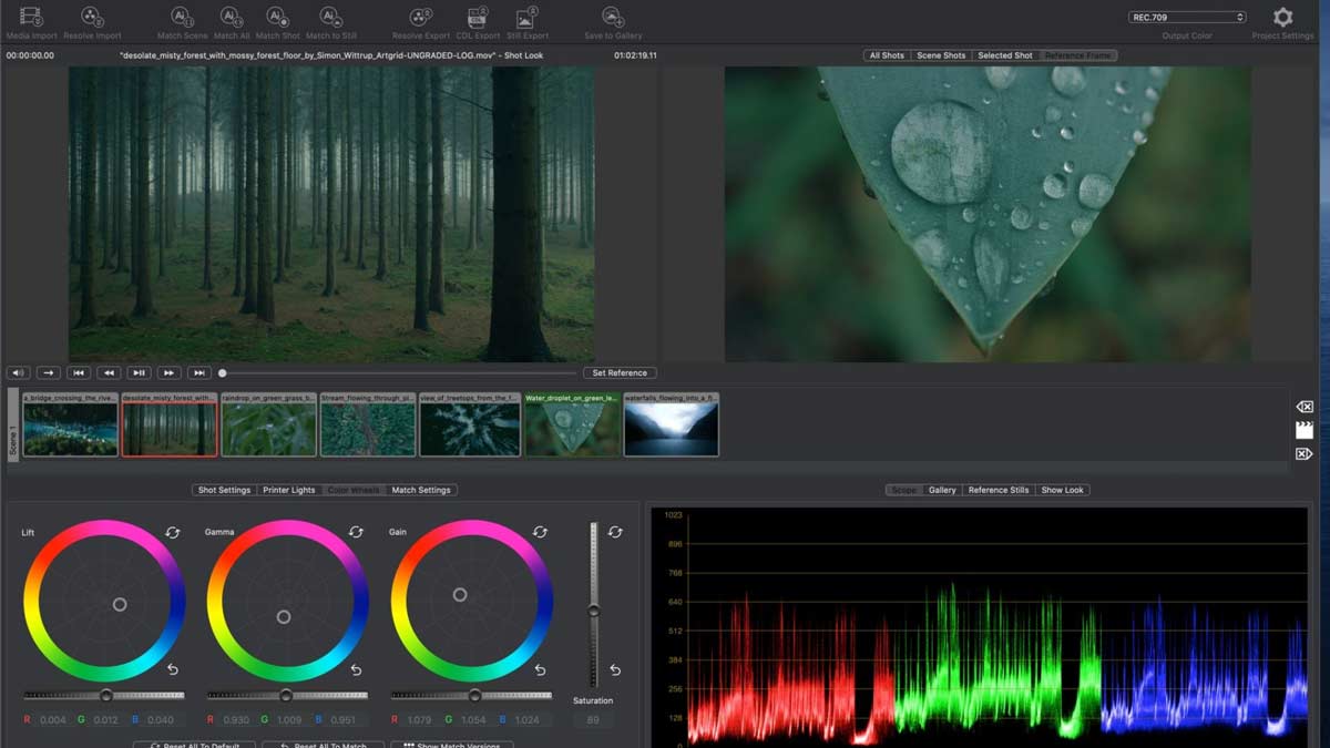 colorlab forest match